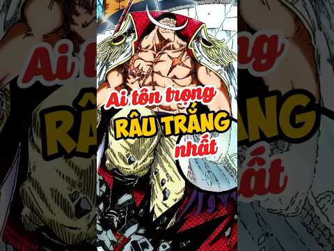 Những ai tôn trọng râu trắng nhất? #anime #onepiece #luffy #xemanime #tomtatanime #rautrang