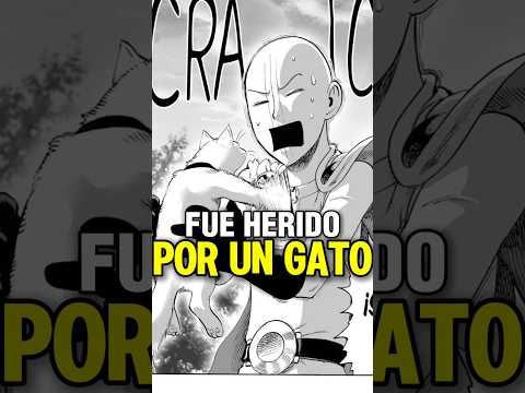 ¿¡SAITAMA ES LASTIMADO POR UN GATO!? #onepunchman #opm #anime #manga #garou #goku
